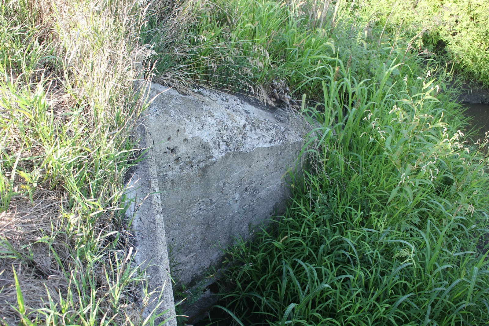 Northeast wing wall